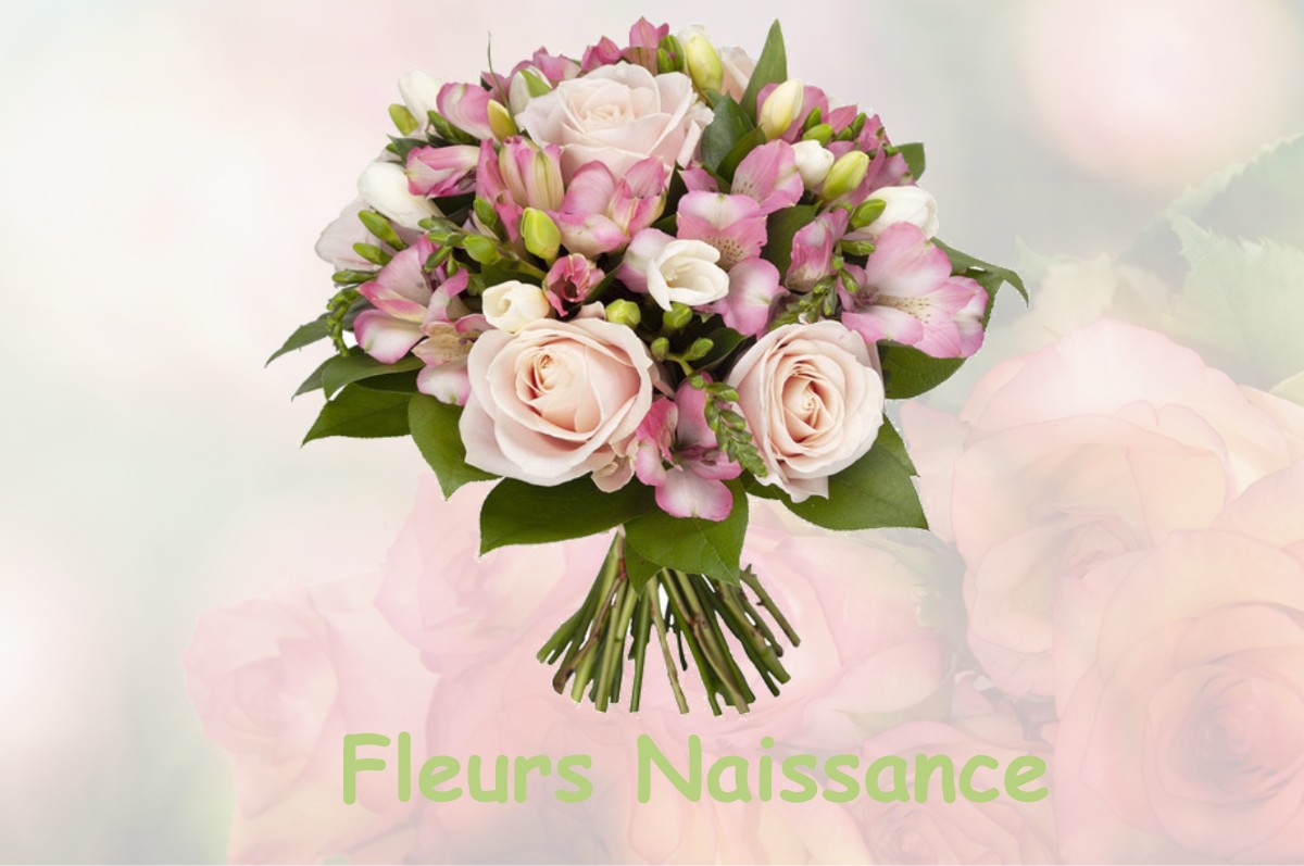 fleurs naissance FLASSANS-SUR-ISSOLE
